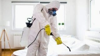 شركه النمر الكويتيه لمكافحة الحشرات والقوارض