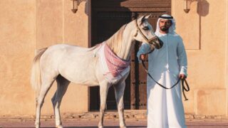 محمد بيشوه: فروسية الإمارات قفزت للعالمية