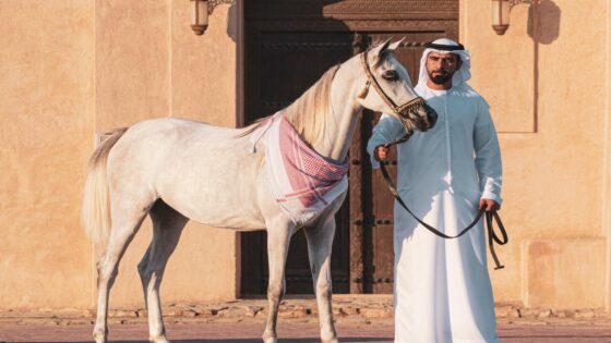 محمد بيشوه: فروسية الإمارات قفزت للعالمية