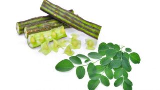 فوائد عشبة المورينجا: الشجرة العجيبة في عالم الأعشاب