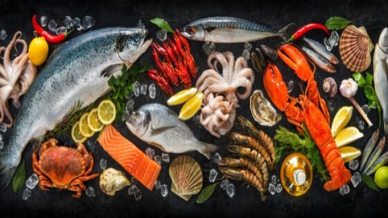 استكشف أفضل 20 طبق بحري حول العالم: تعرف على التنوع الشهي للمأكولات البحرية