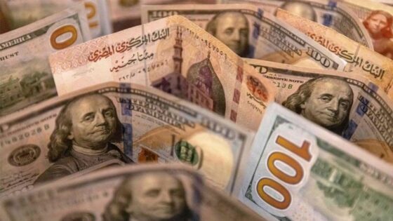 سعر الدولار مقابل الجنيه المصري اليوم الخميس 21 ديسمبر 2023