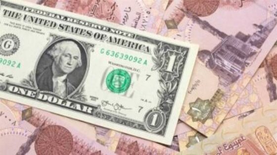 سعر الدولار الآن مقابل الجنية المصري