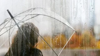 التغذية والاكتئاب الموسمي العلاقة المهمة بين الطعام والحالة العقلية