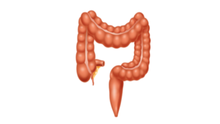 علاج القولون العصبي بالطرق الطبيعية