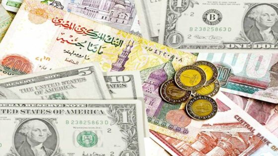 أسعار الدولار بيع وشراء بالنسبة للجنيه المصري اليوم 