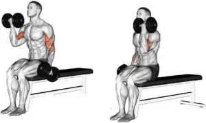 تمرين تبادل بالدامبل اثناء الجلوس