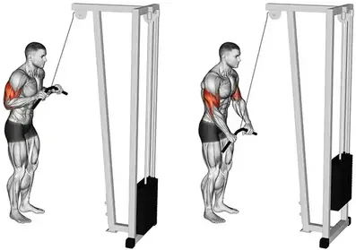 دفع الكبل للأسفل بالبار (مسطرة)