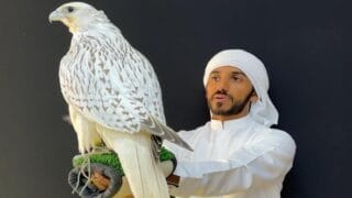 محمد الكتبي : صيد الصقور يعتمد على العلاقة القوية بين الصياد والصقر