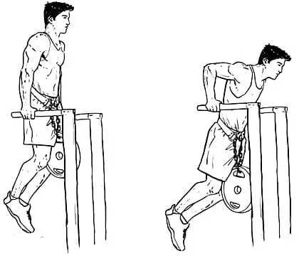 تمرين المتوازى