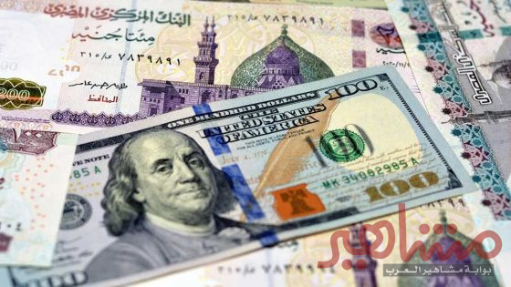 سعر الدولار يواصل صعوده في السوق السوداء المصرية ليقترب من 64 جنيهاً