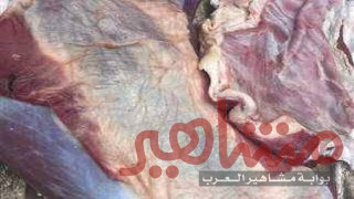 «بيطري قنا»: ضبط 65 كيلو لحوم فاسدة قبل بيعها بالأسواق