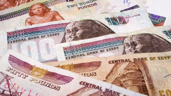 منحة عيد الفطر للعاملين بالدولة “قيمتها وموعد صرفها”