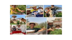 مشروعات الإنتاج الحيواني والزراعي عند أحمد السمالوسي.. تجربة عملية لبناء مزرعة متكاملة بأقل الإمكانيات