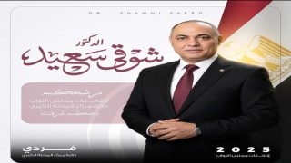 د. شوقي سعيد: زيارة السيسي إلى بروكسل تعكس الثقة الدولية في قيادة مصر