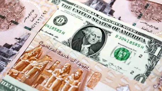 سعر الدولار اليوم الجمعة 7 نوفمبر 2025 في مصر.. استقرار رسمي وتفاصيل سعر الدولار في السوق السوداء