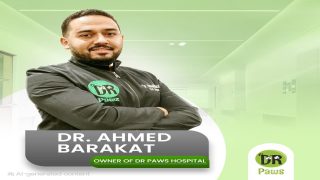 الدكتور أحمد طارق سيد أحمد بركات