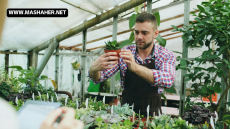 The Ultimate Guide to Easy Home Gardening: Best Crops for Beginners and Pro Tips for Success