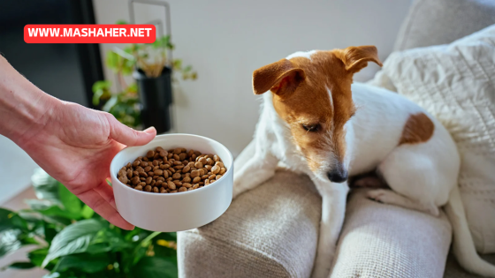 The Ultimate Guide to the Best Homemade Dog and Cat Food: Nutrition, Recipes, and Safety