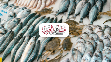 “فسفور” السبت.. أسعار السمك والجمبري اليوم في مصر والبلطي يكسر حاجز الـ 67 جنيهًا